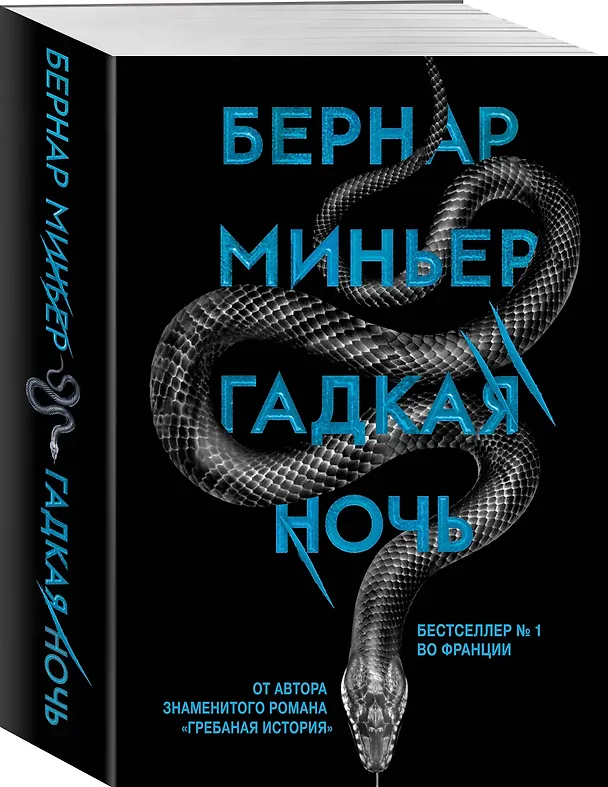 Книга Гадкая ночь (Бернар Миньер) — 4