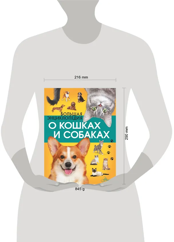 Книга Большая энциклопедия о кошках и собаках (Дмитрий Смирнов, Ирина Барановская, Любовь Вайткене) — 6