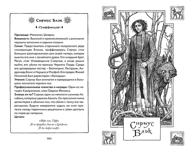 Книга Гарри Поттер и Орден Феникса (Гриффиндор) (Джоан Кэтлин Роулинг) — 16