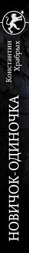 Книга Новичок-одиночка (Константин Храбрых) — 3