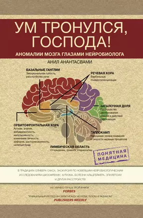 Ум тронулся, господа! Аномалии мозга глазами нейробиолога — 2904590 — 1