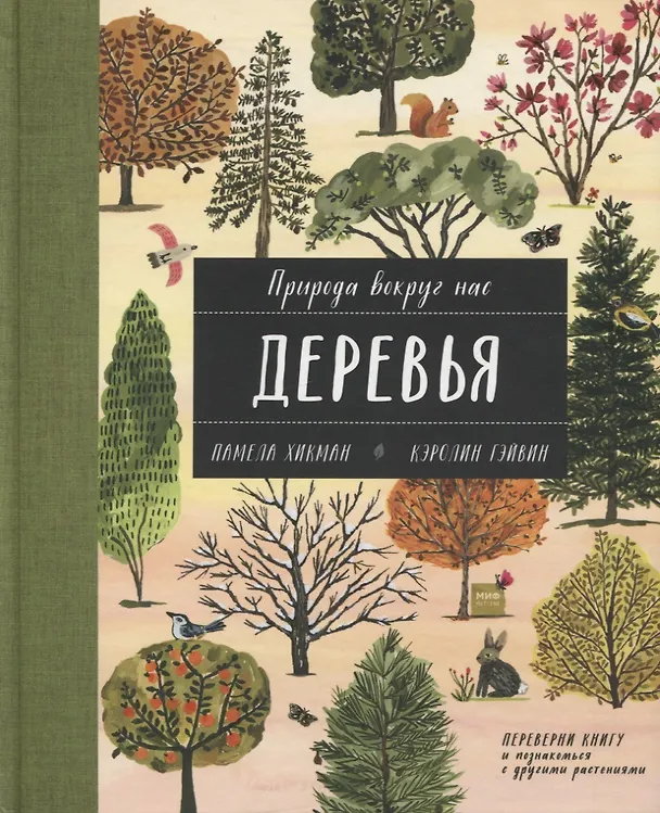 Книга Природа вокруг нас: Растения. Деревья (Памела Хикман) — 5