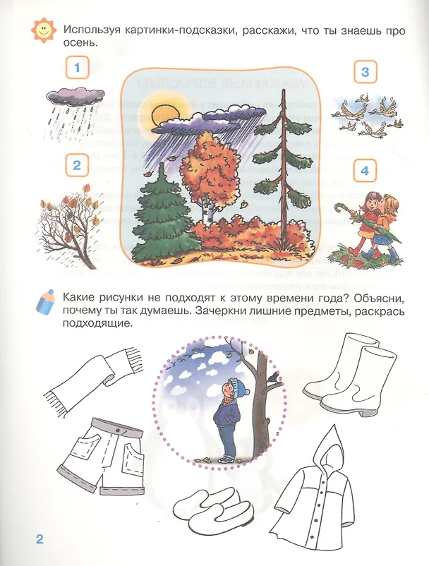 Книга Развиваем речь. Рабочая тетрадь. 4-5 лет (И.В. Тимофеева) — 2