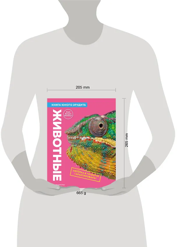 Книга Животные. Книга юного эрудита (Стив Паркер, Джон Фарндон, Камилла де ла Бедуайер) — 14