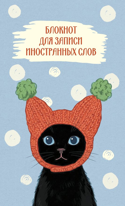 Блокнот для записи иностранных слов 84x108/32 (Кот в шапке) 3184835 — 1