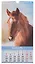 Календарь 2026г 165*335 "Год Лошади. Вид 2" настенный, на спирали — 3108968 — 3