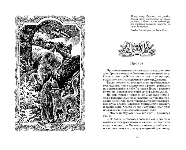 Книга Огонь и лед (Эрин Хантер) — 2