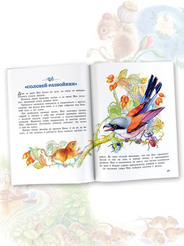 Книга Мышонок Пик (Виталий Бианки) — 5