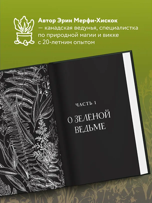 Книга Green Witch. Полный путеводитель по природной магии трав, цветов, эфирных масел и многому другому (Эрин Мёрфи-Хискок) — 8