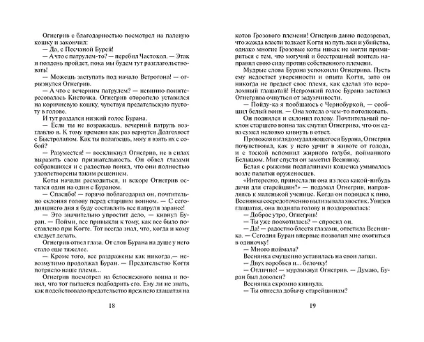 Книга Бушующая стихия (Эрин Хантер) — 9