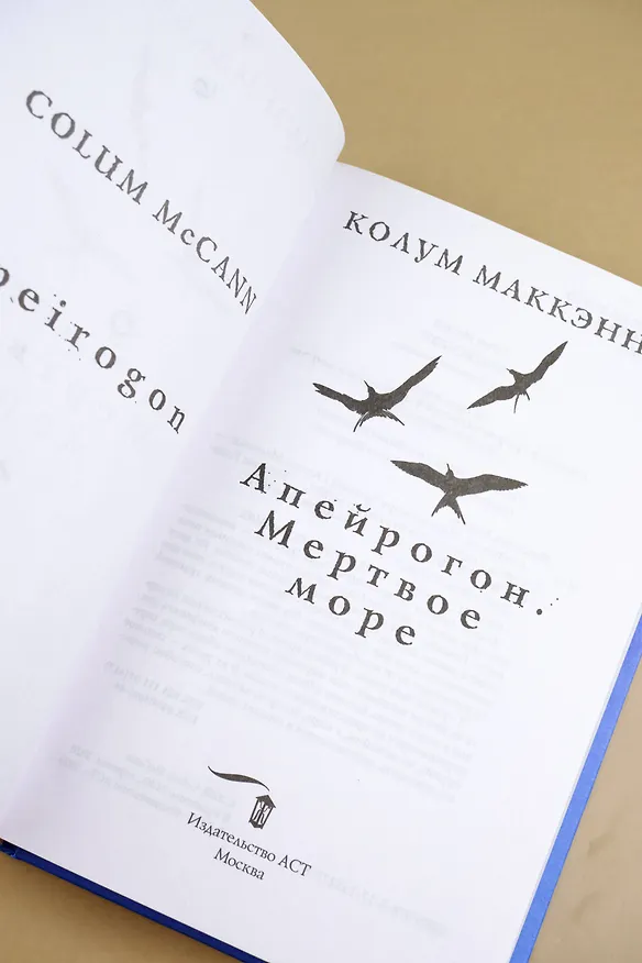 Книга Апейрогон. Мертвое море (Колум Маккэнн) — 12