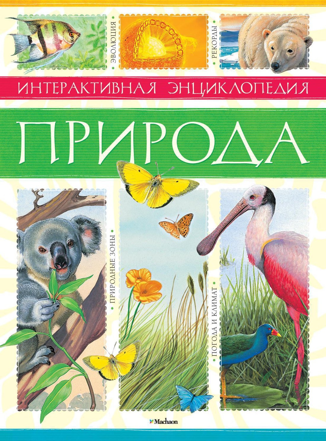 

Природа. Интерактивная энциклопедия
