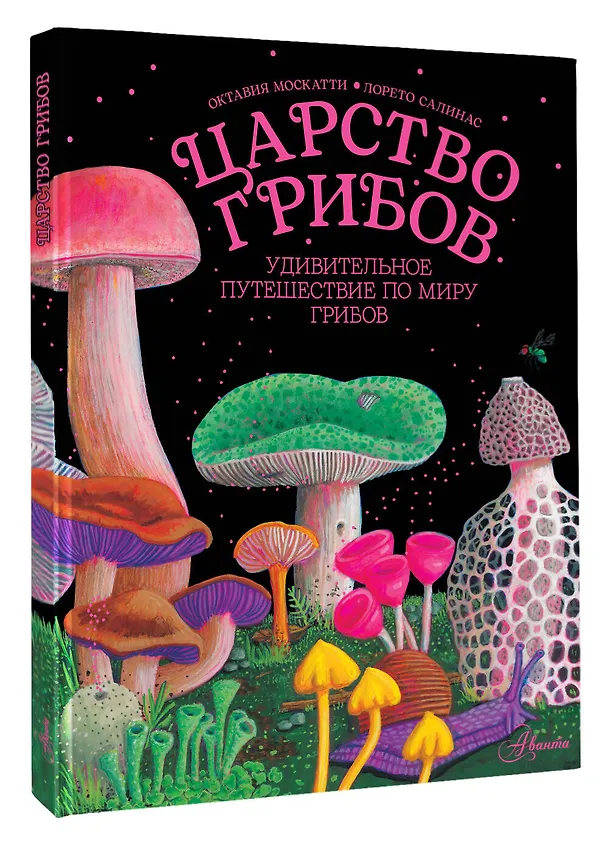 Книга Царство грибов (Октавия Москатти) — 4