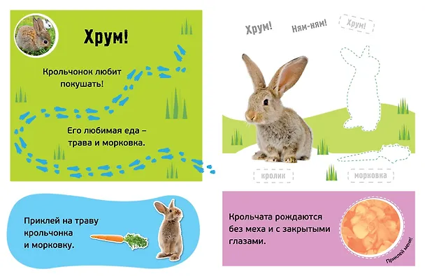 Книга Гав! Детёныши () — 3