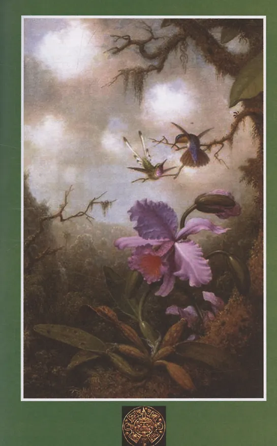 Книга Алмазы перуанца. Том 2 (Софи Ворисгофер) — 5