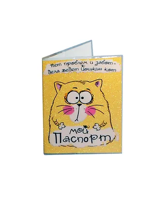 Обложка для паспорта Котэ 13,7*9,6см пластик (626907) 2346988