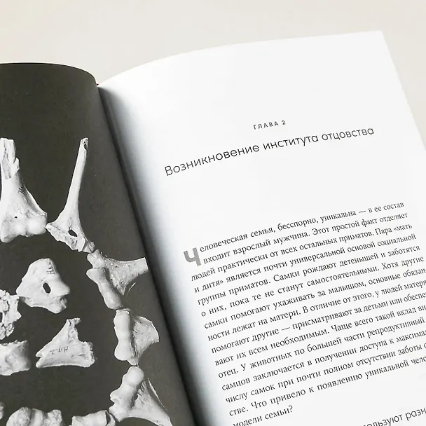 Книга Близкие контакты далеких предков. Как эволюционировал наш вид (Санхи Ли) — 3