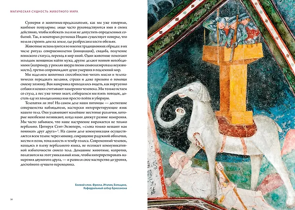 Книга Магия трав и волшебный бестиарий. Сборный комплект из 2-х книг с шоппером (Ипполита Дуглас Скотти ди Виголено, Сабрина Тонутти, Роберто Маркезини) — 18