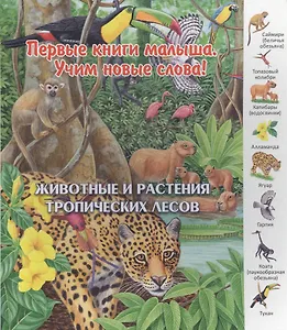 Животные и растения тропических лесов (ПерКнМалУчНовСл) (картон) Комарова