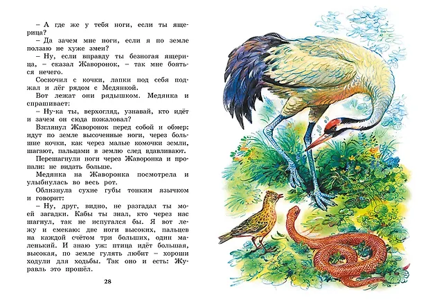 Книга Где раки зимуют. Сказки и рассказы (Виталий Бианки) — 12
