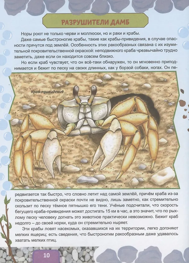 Книга Животные строят (Владимир Бабенко) — 3