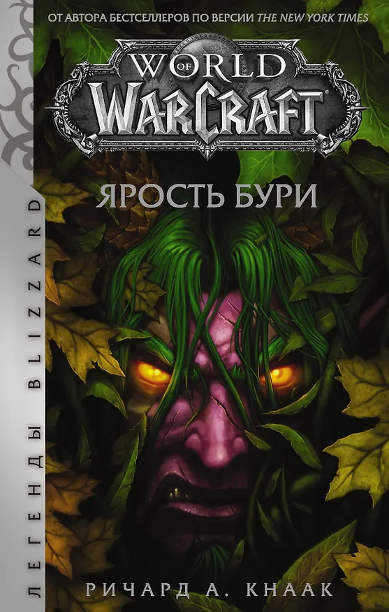 Книга World of Warcraft: Ярость Бури (Ричард Кнаак) — 1