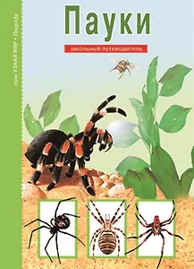 Пауки: Школьный путеводитель