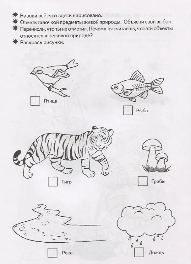 Книга Знакомимся с окружающим миром (5-6 лет) (Елена Бортникова) — 4