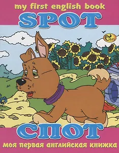 Спот / Spot