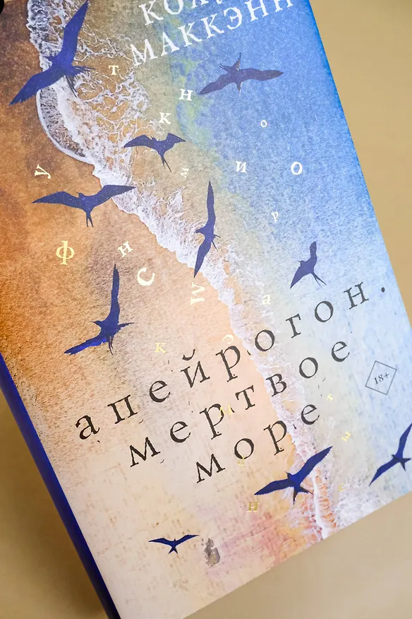 Книга Апейрогон. Мертвое море (Колум Маккэнн) — 9