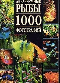 Аквариумные рыбы. 1000 фотографий