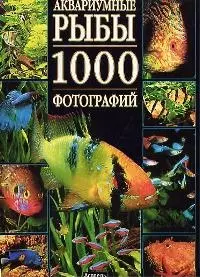 Аквариумные рыбы. 1000 фотографий — 1807084 — 1
