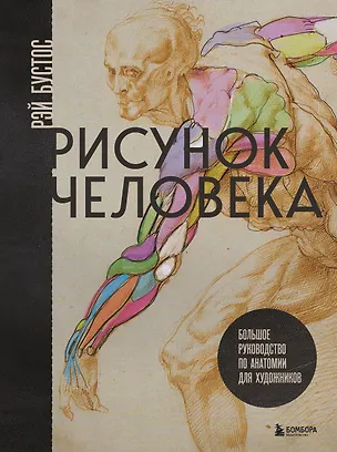 Книга Рисунок человека. Большое руководство по анатомии для художников (Рэй Бустос)