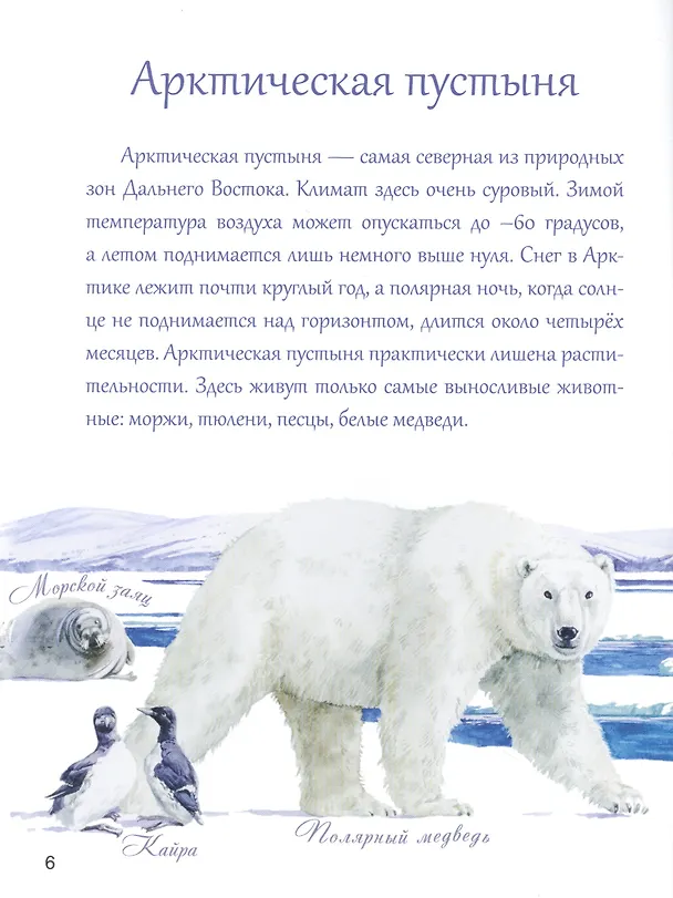 Книга Азбука природы Дальнего востока (Маша Шебеко) — 5
