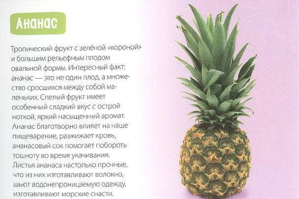 Книга Обучающая книга «Сочные фрукты» () — 3
