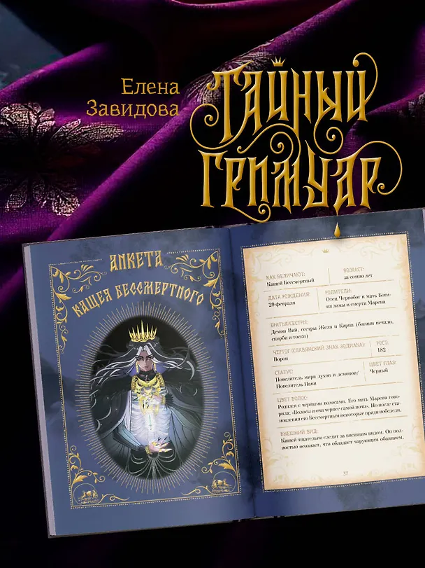 Книга Тайный гримуар (Елена Завидова) — 12