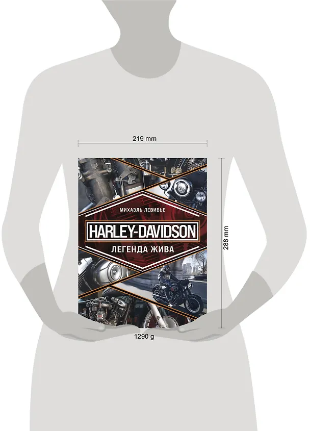 Книга Harley-Davidson. Легенда жива (Михаэль Левивье) — 15