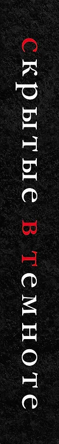 Книга Скрытые в темноте (Кара Хантер) — 3