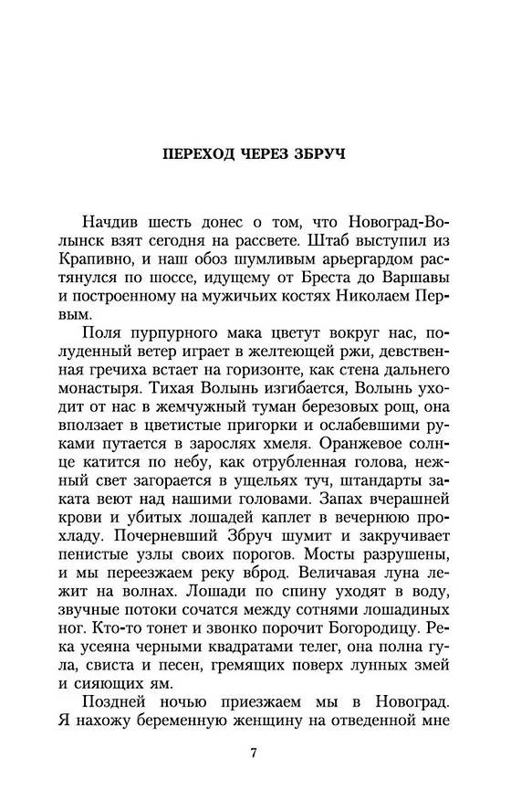 Книга Конармия (Исаак Бабель) — 7