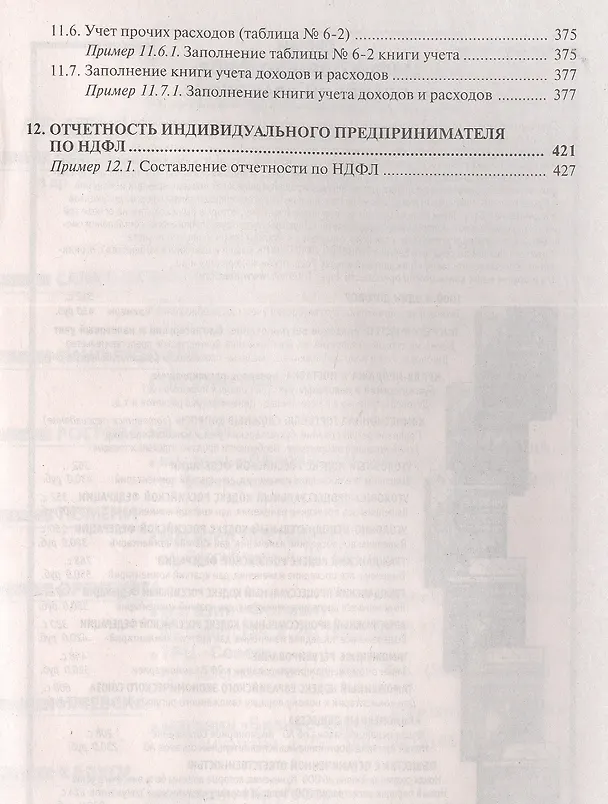 Книга Индивидуальный предприниматель: все обо всем () — 10
