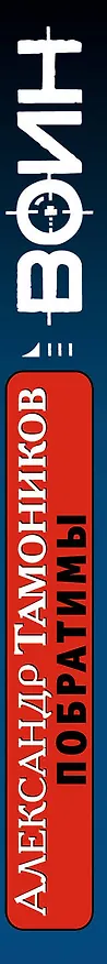 Книга Побратимы (Александр Тамоников) — 3