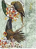 Ежедневник недат. А5 80л "ПТИЦЫ" обл.металл.бумага, тисн.фольгой, с магнит.клапаном, Феникс