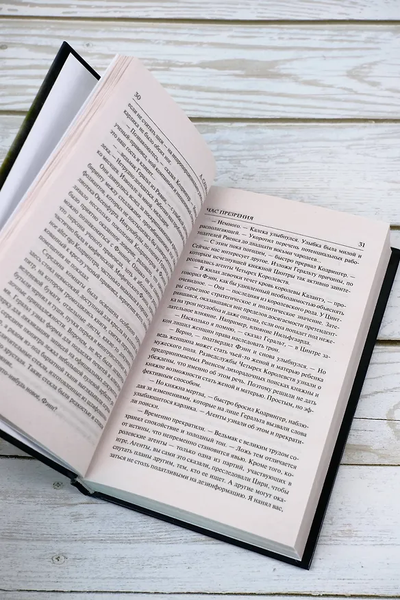 Книга Ведьмак. Час Презрения (Анджей Сапковский) — 11