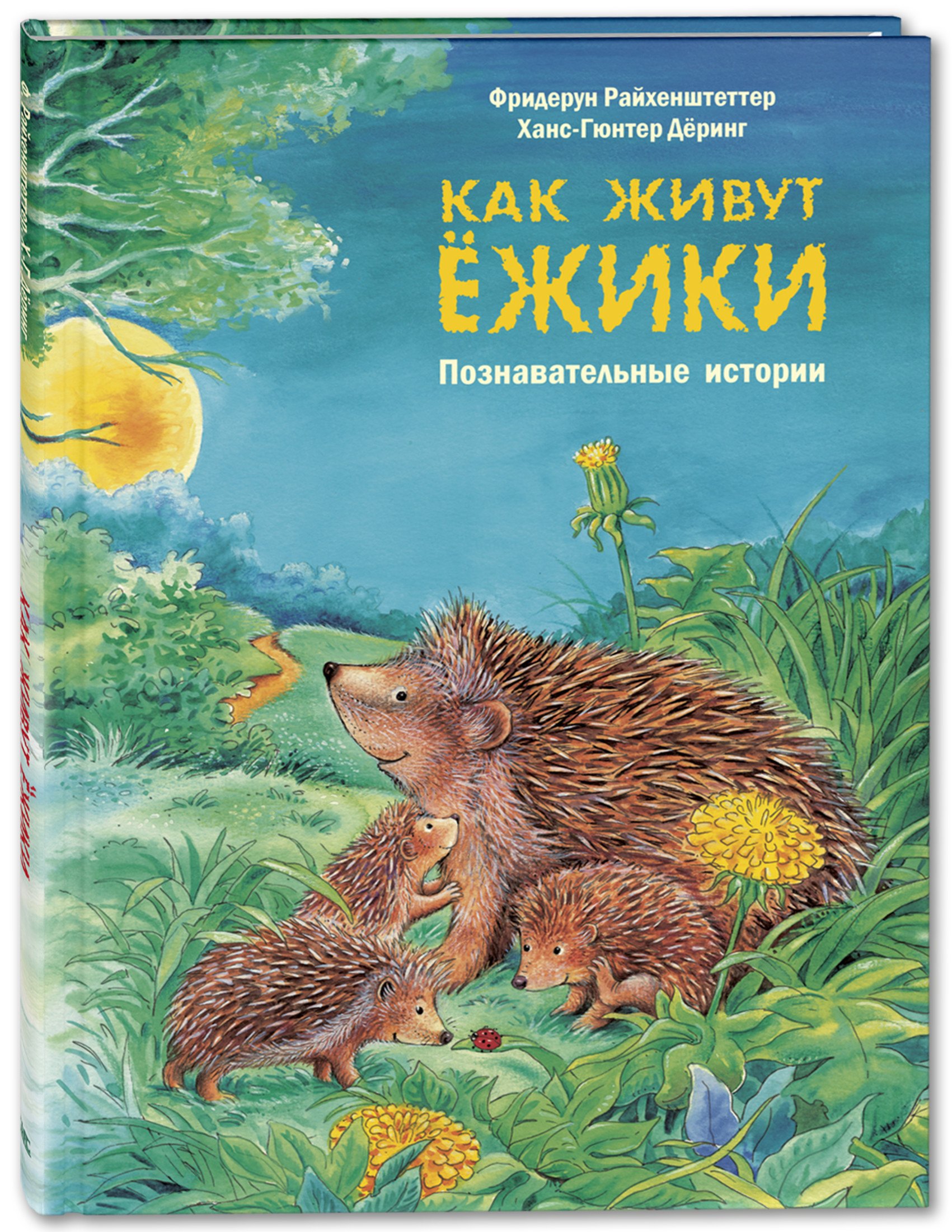 

Как живут ежики. Познавательные истории