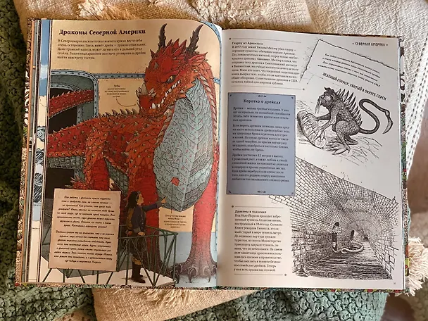 Книга Драконы. Удивительные создания со всего света (Томислав Томич) — 12