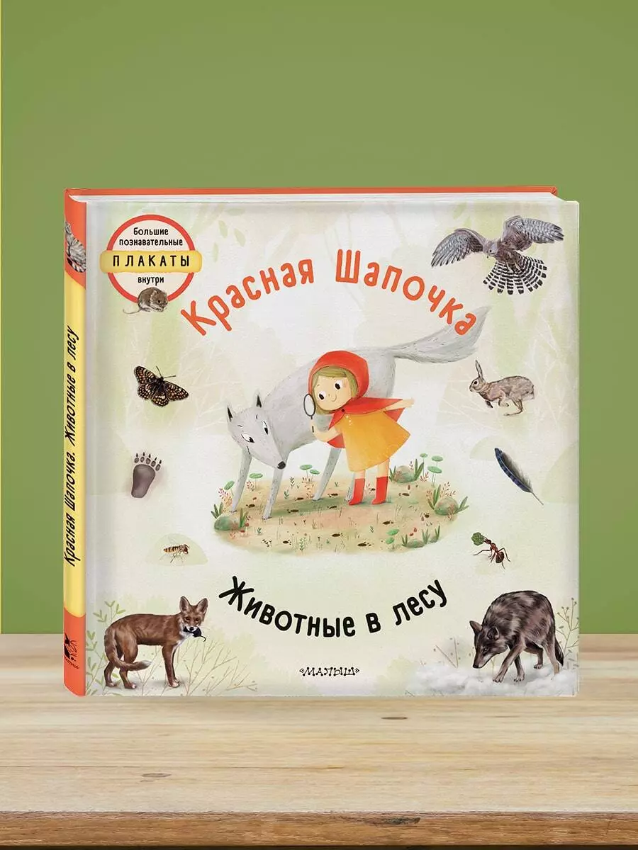 Красная шапочка. Животные в лесу (Яна Седлачкова) - купить книгу с  доставкой в интернет-магазине «Читай-город». ISBN: 978-5-17-136589-9