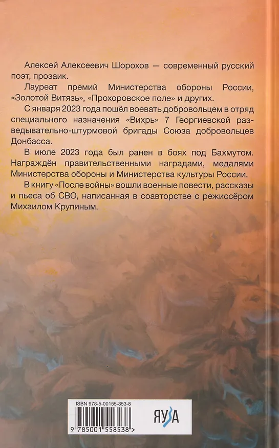 Книга После войны (Алексей Шорохов) — 2