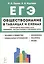 Обществознание в таблицах и схемах. Интенсивная подготовка к ЕГЭ: обобщение, систематизация и повторение курса. 10-11 класс — 2760210 — 1