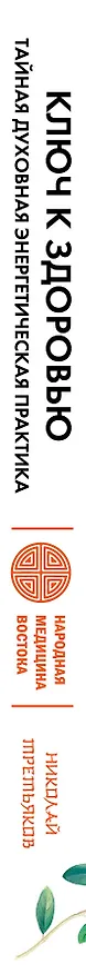 Книга Ключ к здоровью. Тайная духовная энергетическая практика (Николай Третьяков) — 3