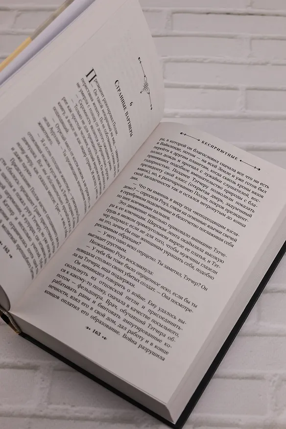 Книга Бесприютные (Барбара Кингсолвер) — 12